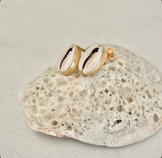 Cowrie Shell Studs - 18k gold plated