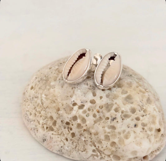 Cowrie Shell Studs - Sterling Silver
